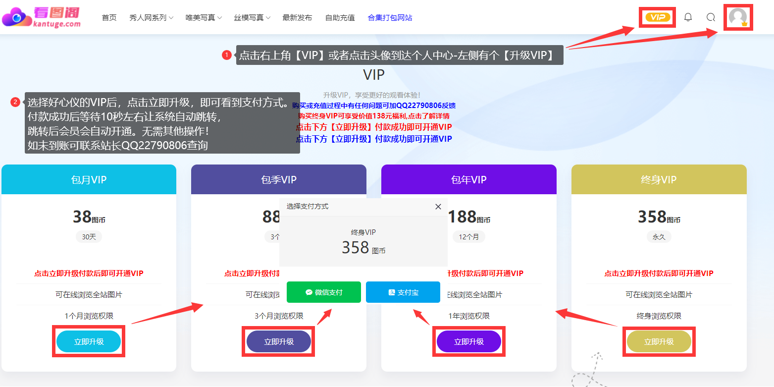 VIP充值教程插图 VIP充值教程插图